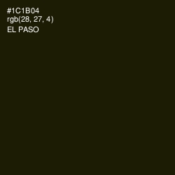 #1C1B04 - El Paso Color Image